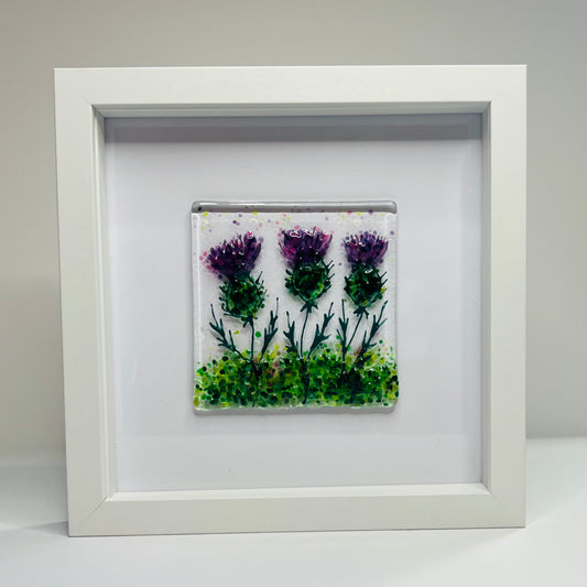 Thistle square picture