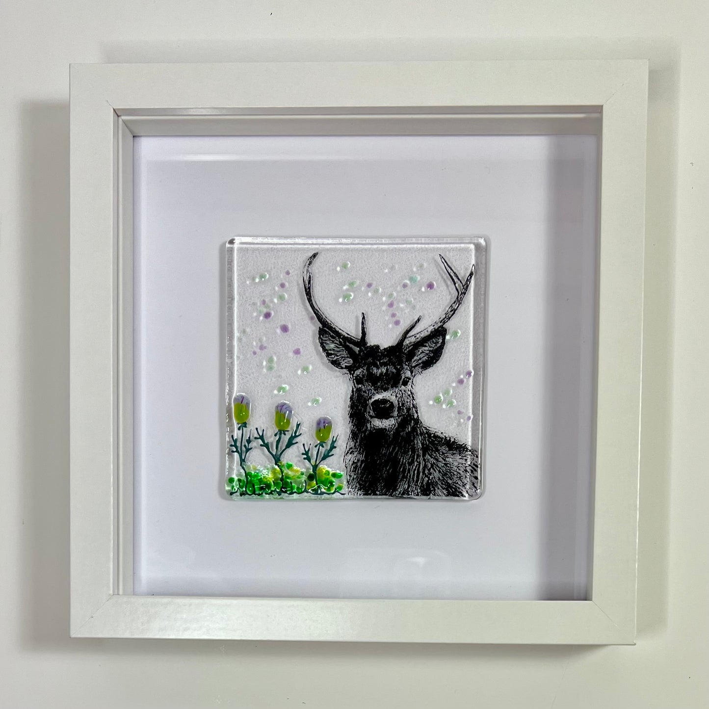 Stag picture